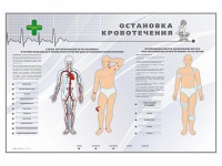 Электрифицированный стенд "Остановка кровотечения" - fgospostavki.ru - Яблоновский