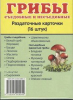 Раздаточные карточки "Грибы съедобные и не съедобные" - fgospostavki.ru - Яблоновский