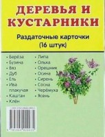 Раздаточные карточки "Деревья и кустарники" - fgospostavki.ru - Яблоновский