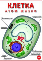 DVD "Клетка - "атом жизни" - fgospostavki.ru - Яблоновский