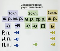 Набор магнитных карточек "Склонение имен существительных" - fgospostavki.ru - Яблоновский