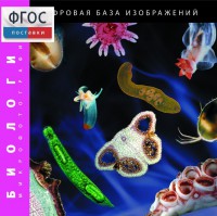 Биология. Микрофотографии. (Цифровая база изображений) - fgospostavki.ru - Яблоновский