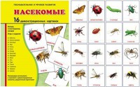 Демонстрационные карточки "Насекомые" - fgospostavki.ru - Яблоновский