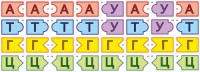 Модель-аппликация Удвоение ДНК и транскрипция РНК - fgospostavki.ru - Яблоновский