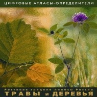 Растения средней полосы России "Травы и Деревья". (Цифровые атласы-определители) - fgospostavki.ru - Яблоновский