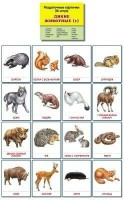 Раздаточные карточки "Дикие животные (1)" - fgospostavki.ru - Яблоновский