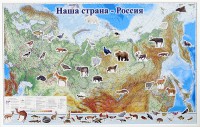 Магнитные карточки "Животные" - fgospostavki.ru - Яблоновский