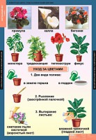 Комплект таблиц. Окружающий мир 1 класс. - fgospostavki.ru - Яблоновский