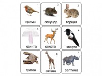 Набор магнитных карточек по музыке "Животные" (9 штук) - fgospostavki.ru - Яблоновский
