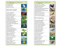 Комплект карточек (10) "Обучающий калейдоскоп. Природа" - fgospostavki.ru - Яблоновский