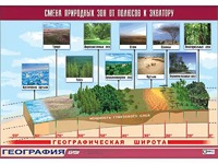 Таблица демонстрационная "Смена природных зон от полюсов к экватору" (винил 70*100) - fgospostavki.ru - Яблоновский