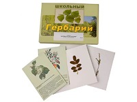 Гербарий "Деревья и кустарники" (22 вида, с иллюстрациями) - fgospostavki.ru - Яблоновский