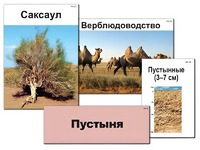 Модель-аппликация "Природные зоны России" (ламинированная) - fgospostavki.ru - Яблоновский