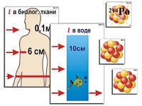 Модель-аппликация "Явление радиоактивности" (ламинированная) - fgospostavki.ru - Яблоновский