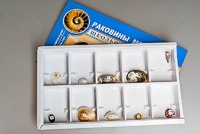 Коллекция "Раковины моллюсков" - fgospostavki.ru - Яблоновский