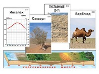Модель-аппликация "Природные зоны" - fgospostavki.ru - Яблоновский
