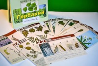 Гербарий к курсу основ общей биологии - fgospostavki.ru - Яблоновский
