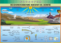 Таблица "Возникновение жизни на земле" (100х140 сантиметров, винил) - fgospostavki.ru - Яблоновский