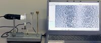 Лабораторная установка «Определение коэффициента взаимной диффузии воздуха и водяного пара»  - fgospostavki.ru - Яблоновский