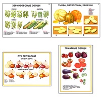Плакаты ПРОФТЕХ "Ассортимент овощных культур" (12 пл, винил, 70х100) - fgospostavki.ru - Яблоновский