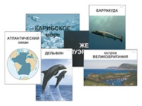Модель-аппликация "Океаны. Знакомство" (ламинированная) - fgospostavki.ru - Яблоновский