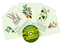 Интерактивный наглядный комплекс "Гербарий "Для начальной школы" - fgospostavki.ru - Яблоновский