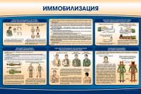 Стенд "Иммобилизация" - fgospostavki.ru - Яблоновский