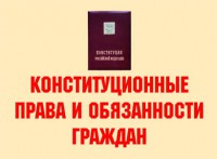 Комплект плакатов "Конституционные права и обязанности граждан" - fgospostavki.ru - Яблоновский