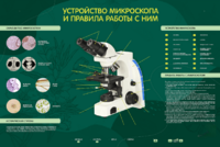 Электрифицированный стенд "Устройство микроскопа и правила работы c ним" - fgospostavki.ru - Яблоновский