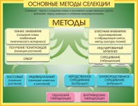 Стенд "Методы селекции и биотехнологии" - fgospostavki.ru - Яблоновский
