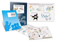 Комплект кодотранспарантов "Опасные животные" - fgospostavki.ru - Яблоновский
