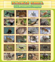 Стенд "Красная книга - млекопитающие" - fgospostavki.ru - Яблоновский