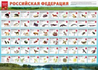 Стенд "Красная книга РФ" - fgospostavki.ru - Яблоновский