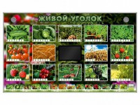 Комплект оборудования "Живой уголок" (растения) - fgospostavki.ru - Яблоновский