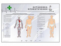 Электрифицированный стенд "Остановка кровотечения" - fgospostavki.ru - Яблоновский