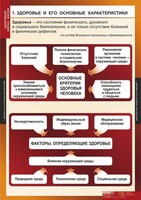Комплект таблиц. ОБЖ. Здоровый образ жизни. - fgospostavki.ru - Яблоновский