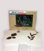Гербарий "Дикорастущие растения" (28 видов) - fgospostavki.ru - Яблоновский