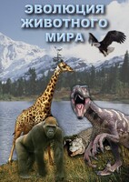 DVD "Эволюция животного мира" - fgospostavki.ru - Яблоновский