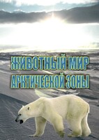 DVD "Животный мир Арктической зоны" - fgospostavki.ru - Яблоновский