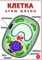 DVD "Клетка - "атом жизни" - fgospostavki.ru - Яблоновский