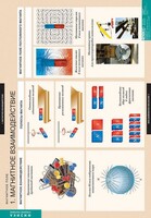 Комплект таблиц. Физика. Магнитное поле. - fgospostavki.ru - Яблоновский