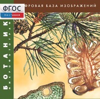 Ботаника. Микрофотографии. (Цифровая база изображений) - fgospostavki.ru - Яблоновский
