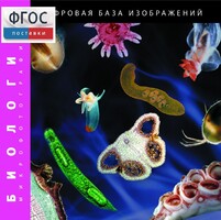Биология. Микрофотографии. (Цифровая база изображений) - fgospostavki.ru - Яблоновский