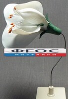 Модель "Цветок гороха" - fgospostavki.ru - Яблоновский