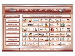 Трехсекционный базовый комплект "Травмы. Кровотечения. Ожоги" для учащихся общеобразовательных учреждений - fgospostavki.ru - Яблоновский