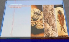 Коллекция "Палеонтологическая" (16 образцов) - fgospostavki.ru - Яблоновский