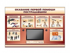 Многофункциональный интерактивный стенд-тренажер "Оказание первой помощи пострадавшим" для учащихся общеобразовательных учреждений - fgospostavki.ru - Яблоновский
