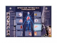 Электрифицированный стенд "Вредные привычки: наркомания" - fgospostavki.ru - Яблоновский
