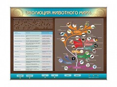 Интерактивный электрифицированный стенд "Эволюция животного мира" - fgospostavki.ru - Яблоновский
