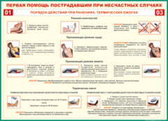 Таблица "Порядок действий при ранениях и термических ожогах" (100х140 сантиметров, винил) - fgospostavki.ru - Яблоновский